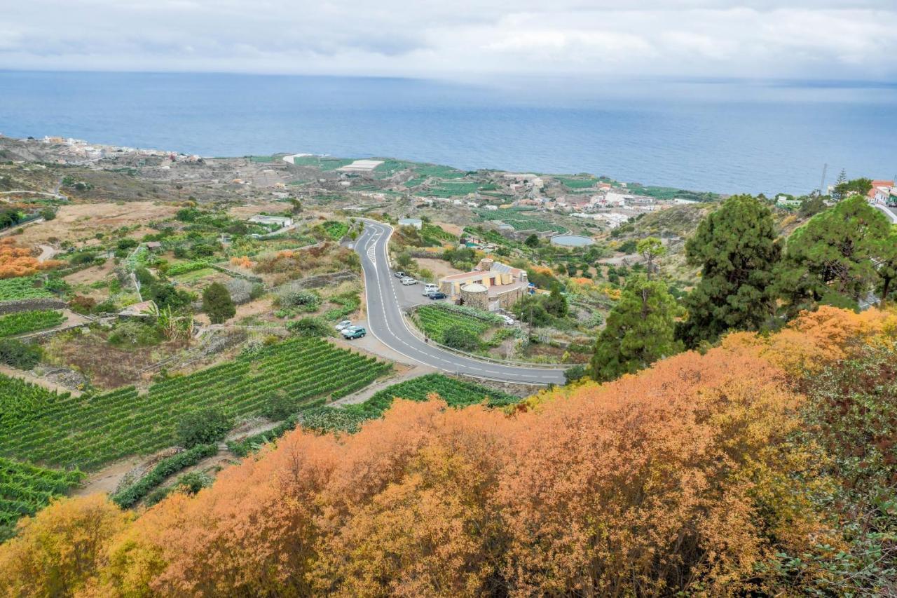 شقة Casa Carmelita La Guancha المظهر الخارجي الصورة